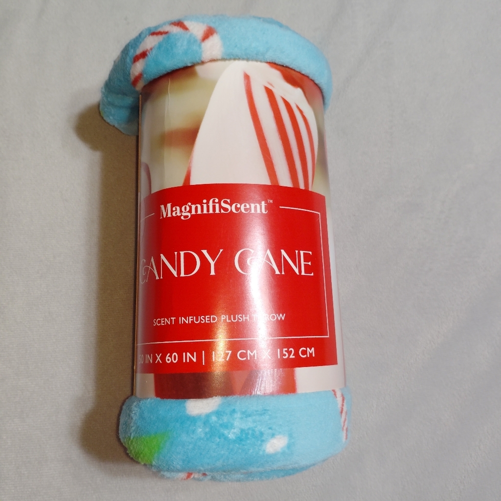 Holiday Time 50"x 60"  Candy Cane Rolled Plush Throw,